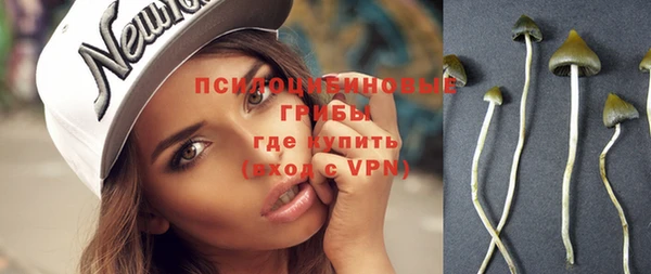 трава Новозыбков