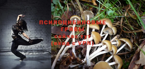 apvp Нефтекумск