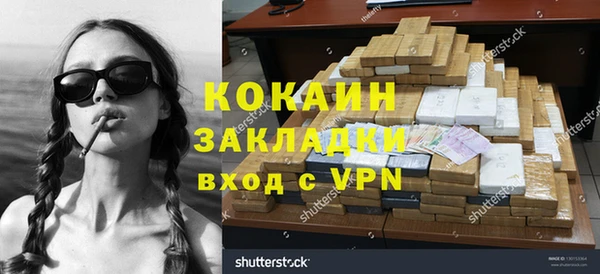трава Новозыбков