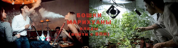 трава Новозыбков